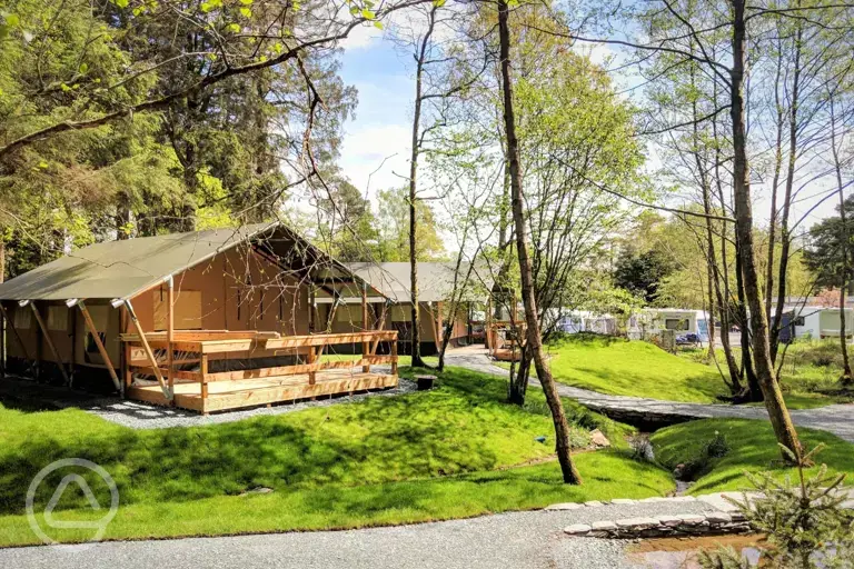 Safari tents