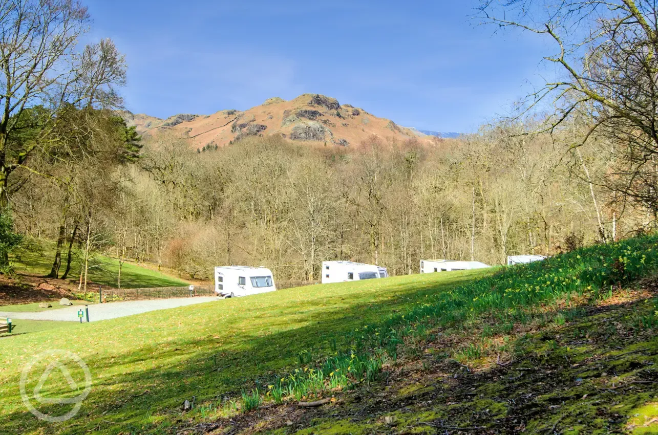 Premium hardstanding pitches with optional electric