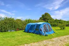 Grass meadow pitches