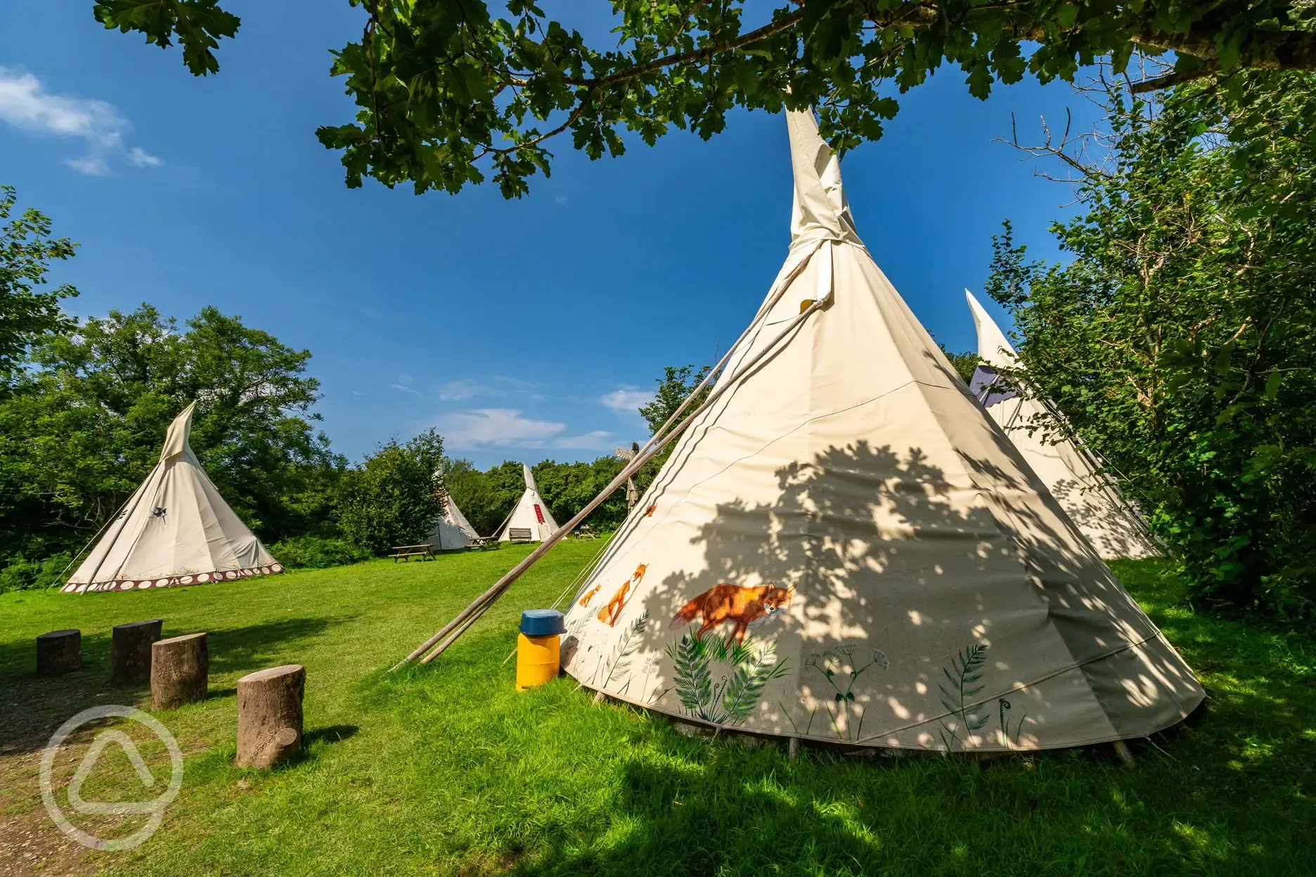 Tipi (village field)