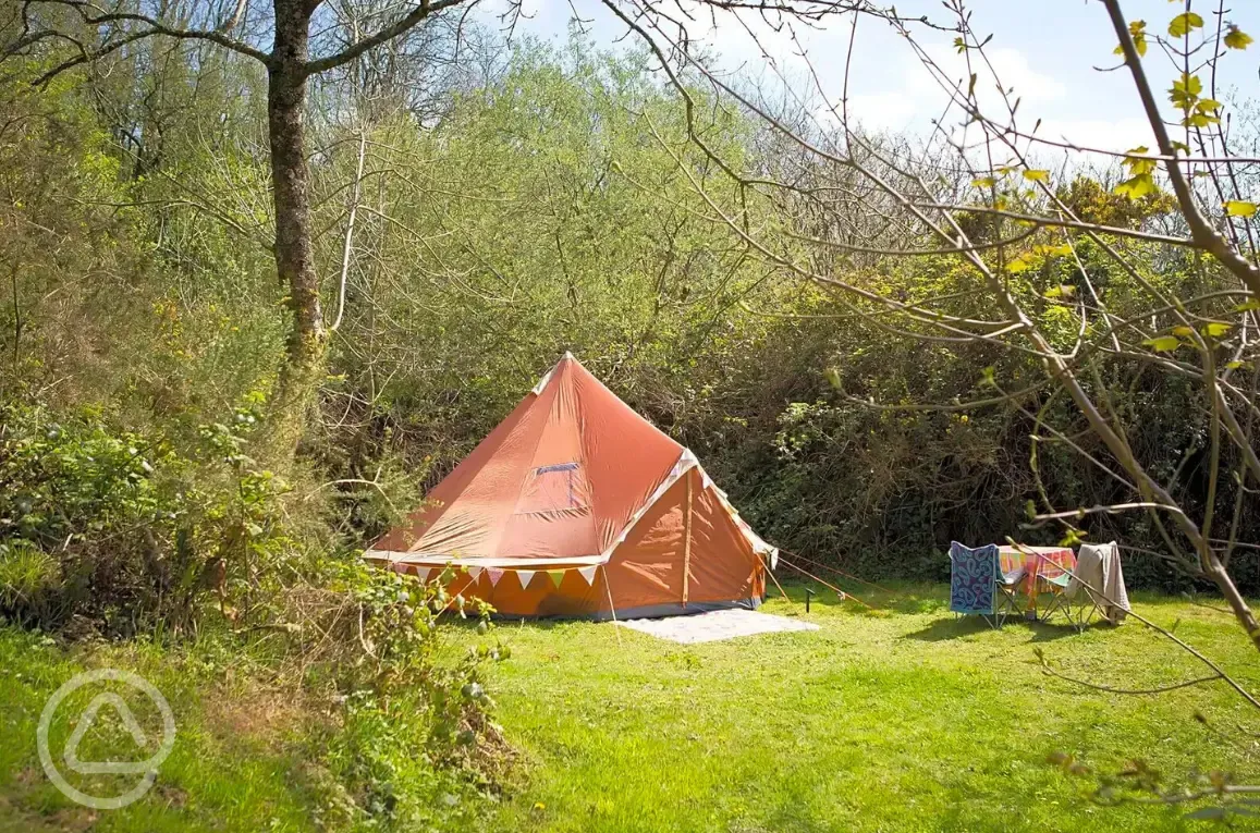 Wild camping pitches