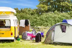 Grass campervan pitches (Meadow)