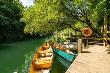 Onsite lake for boating, wild swimming and fishing