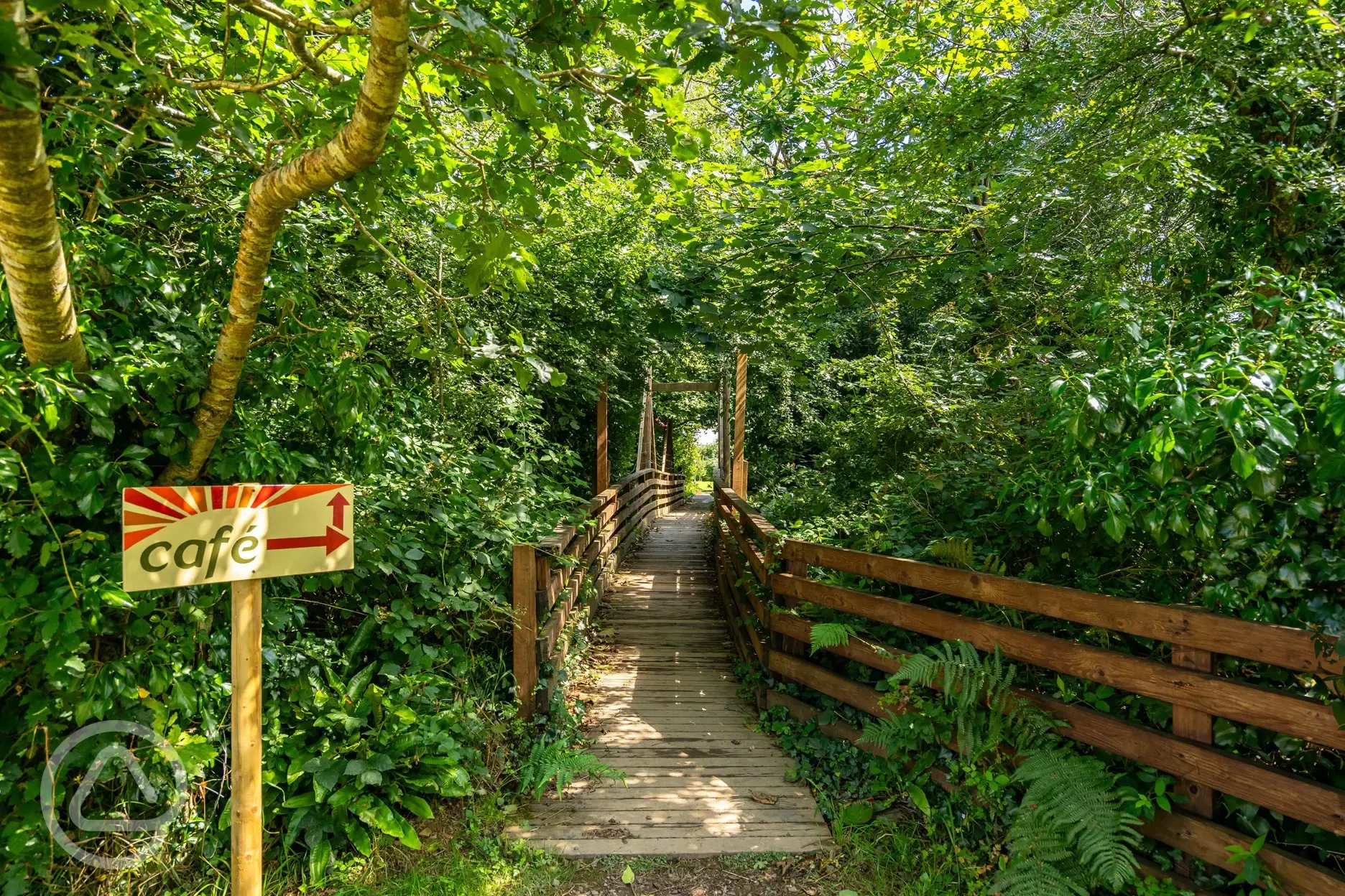 Pathway to the café 