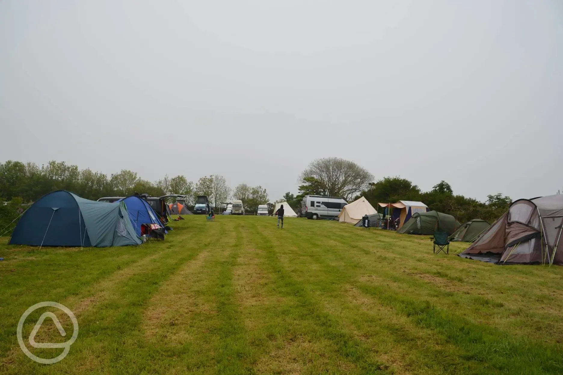 Grass pitch ups on main camping field