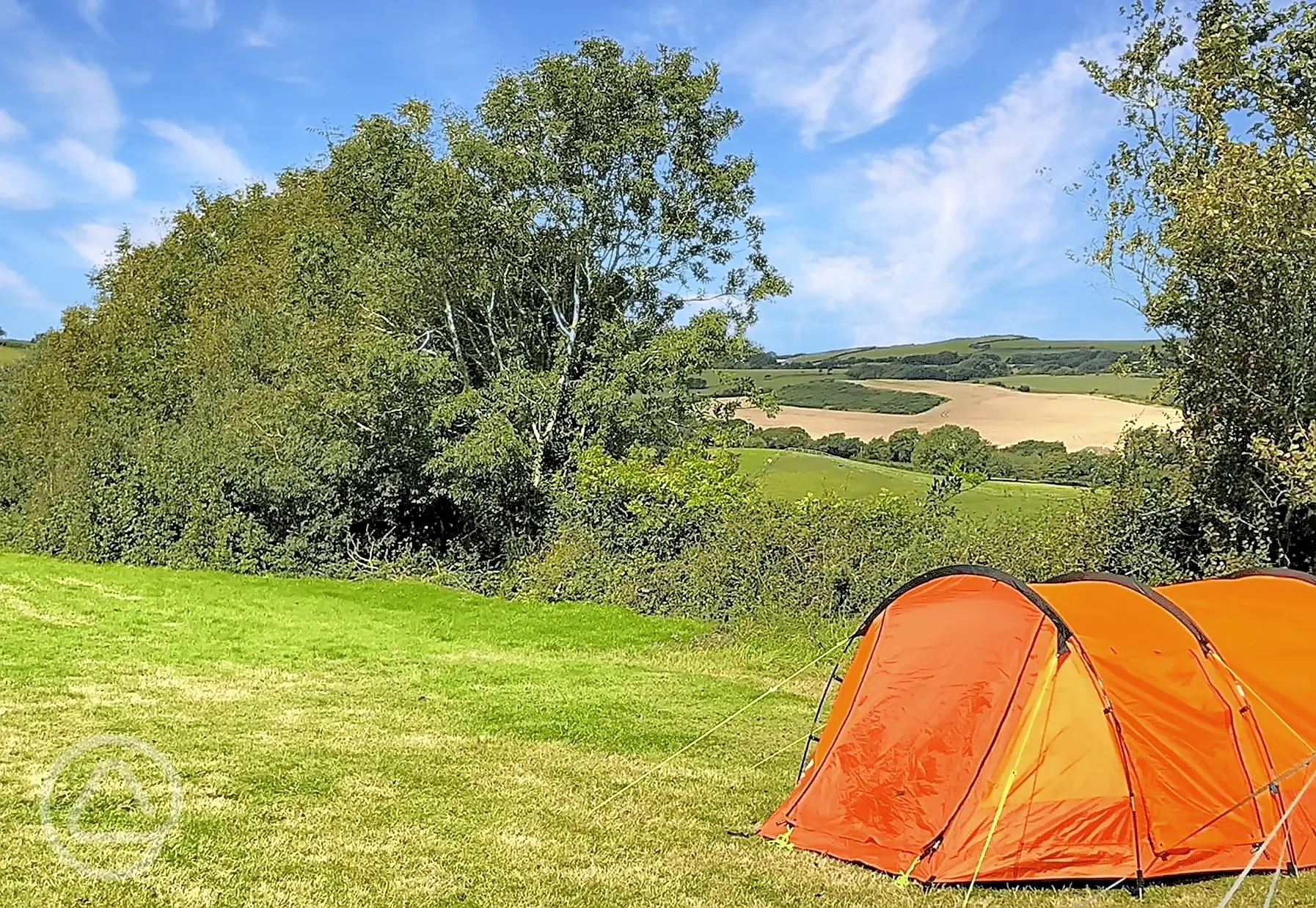 Grass tent pitches