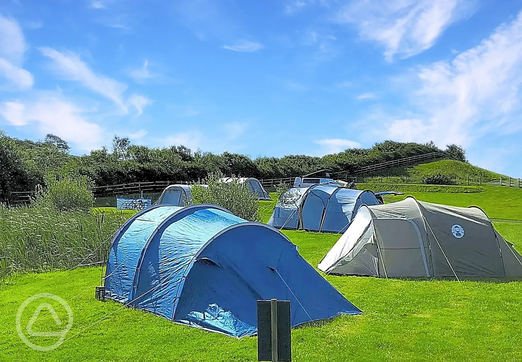 Grass tent pitches