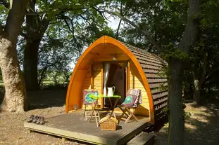 West Stow Pods, West Stow, Bury St Edmunds, Suffolk West Stow Pods, West Stow, Bury St Edmunds, Suffolk