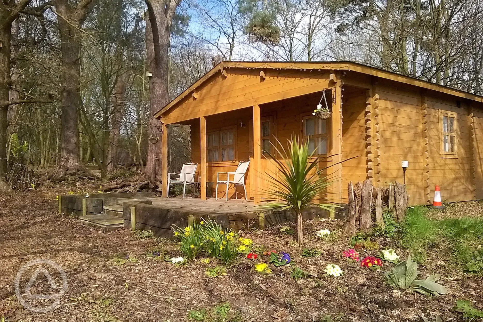 Woodland Lodge in Springtime