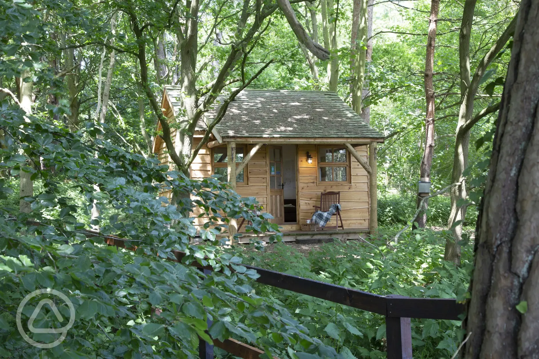 Cabin Cedar Lodge