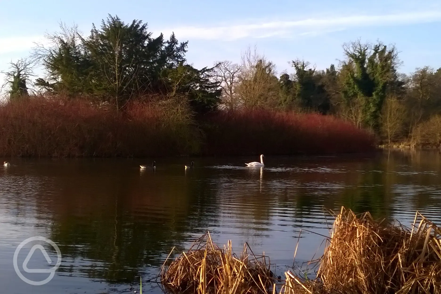 Lakeside walks