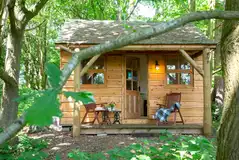 Cedar lodge set amongst mature woodland Cedar lodge set amongst mature woodland