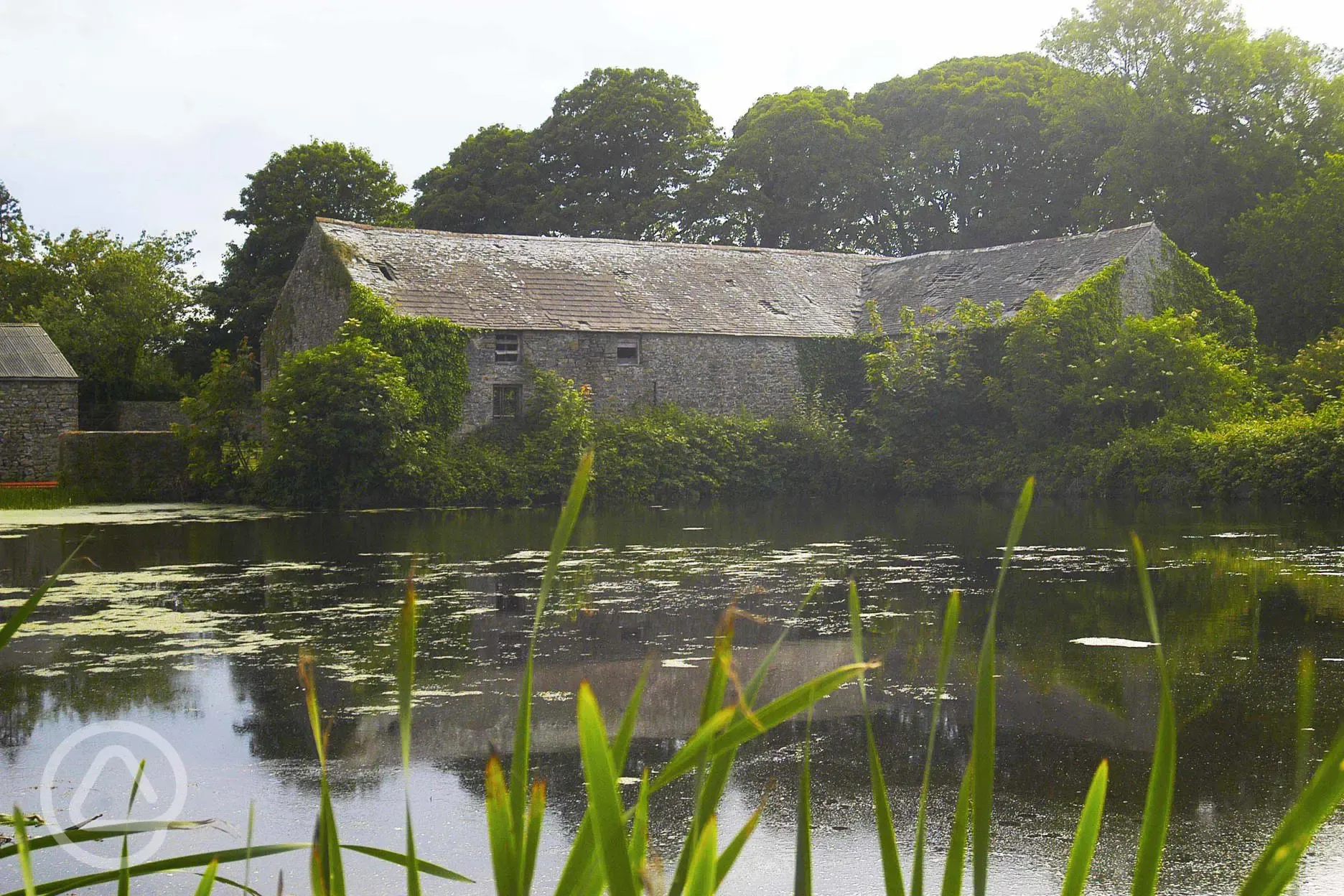 ideawood's neighbours are Nash Farm Shop and Corn Mill Cafe