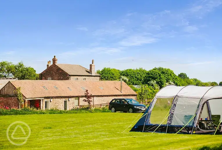 Grass tent pitches