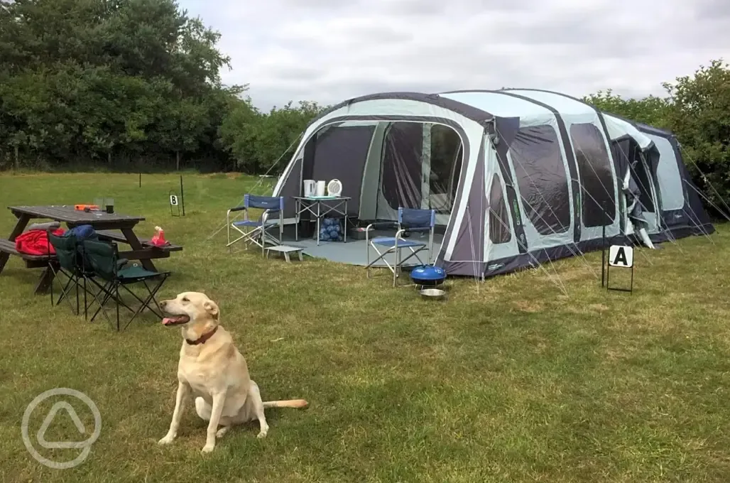 Grass Pitches Grass Pitches