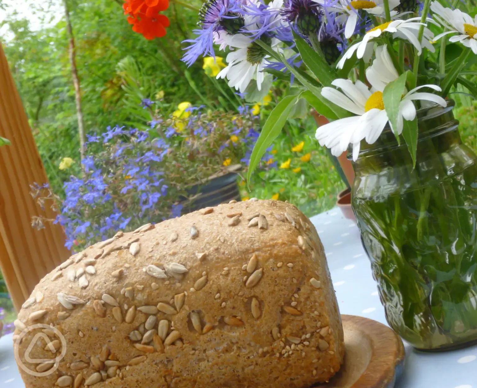 Try our delicious home-made organic wholemeal bread!