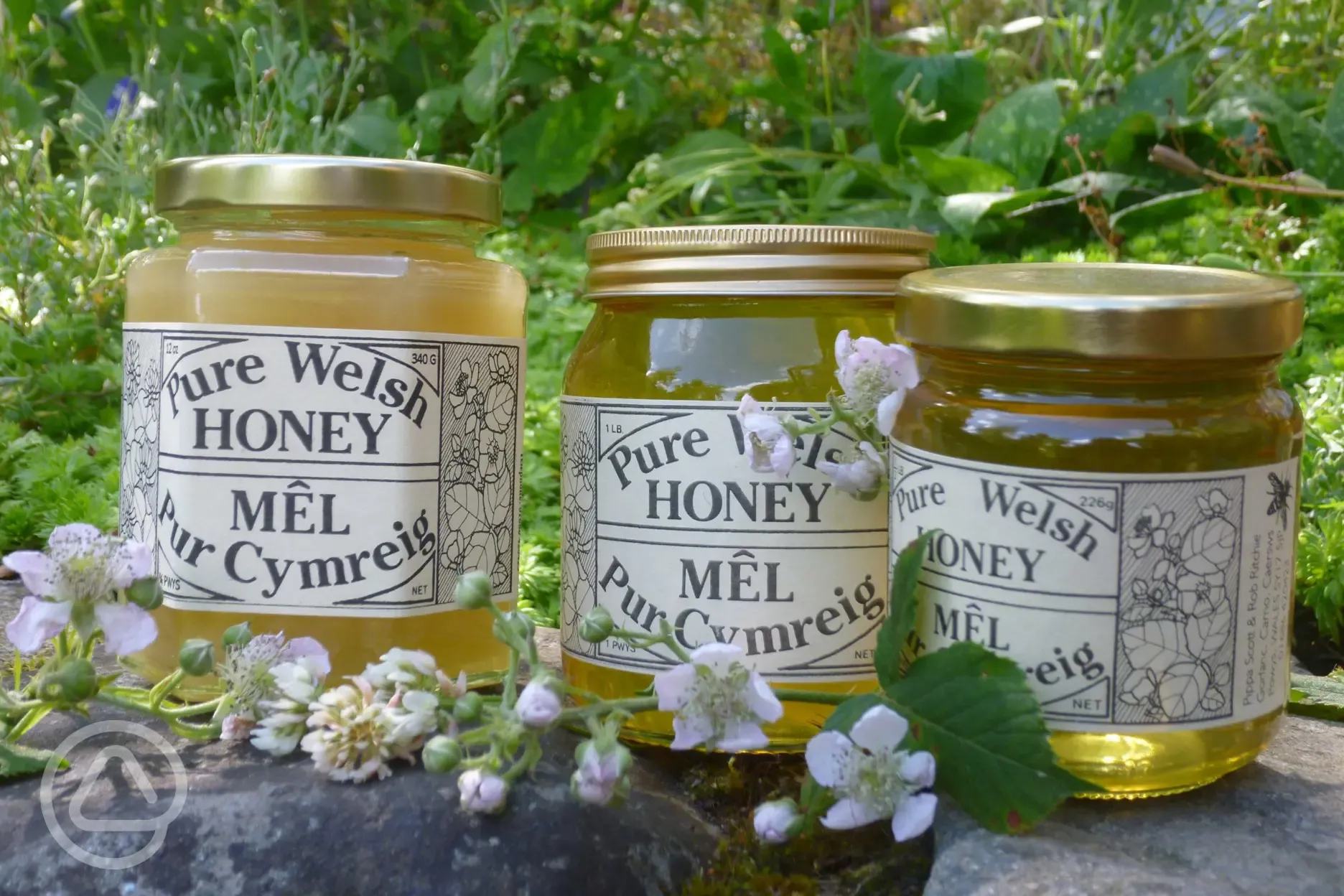 You can buy our unique and very local wonderful honey, gathered from the countryside around you.