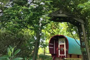 Gypsy caravan with secluded grassy area
