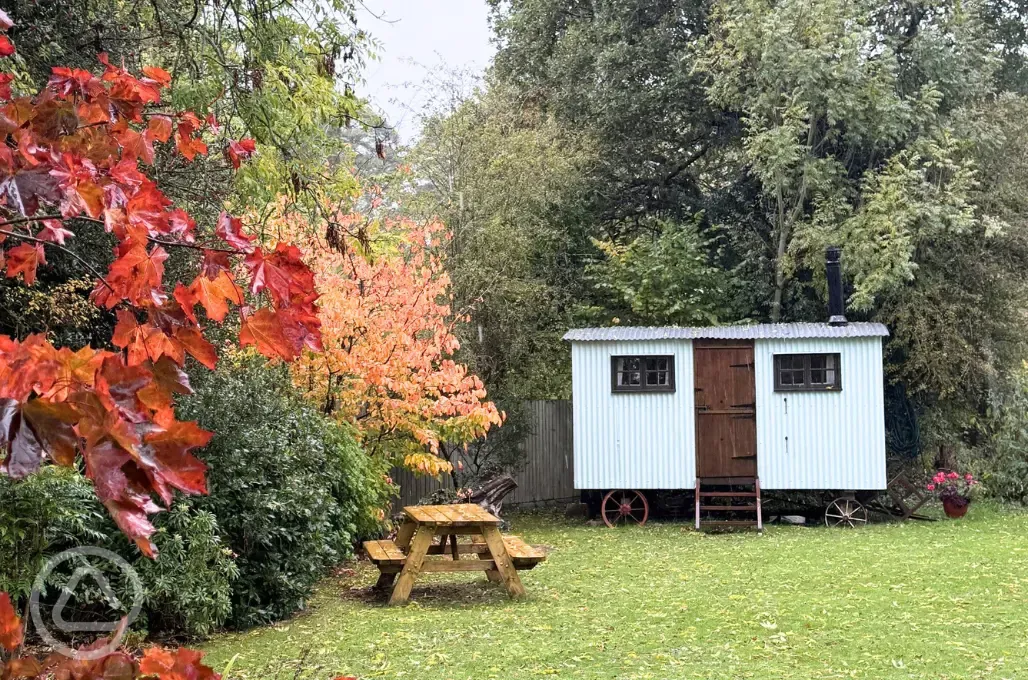 Shepherd's hut
