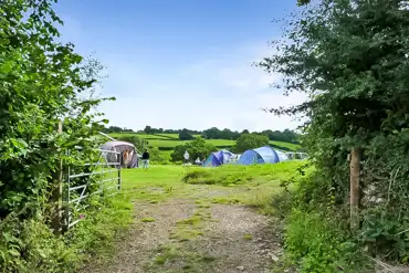 Camping field