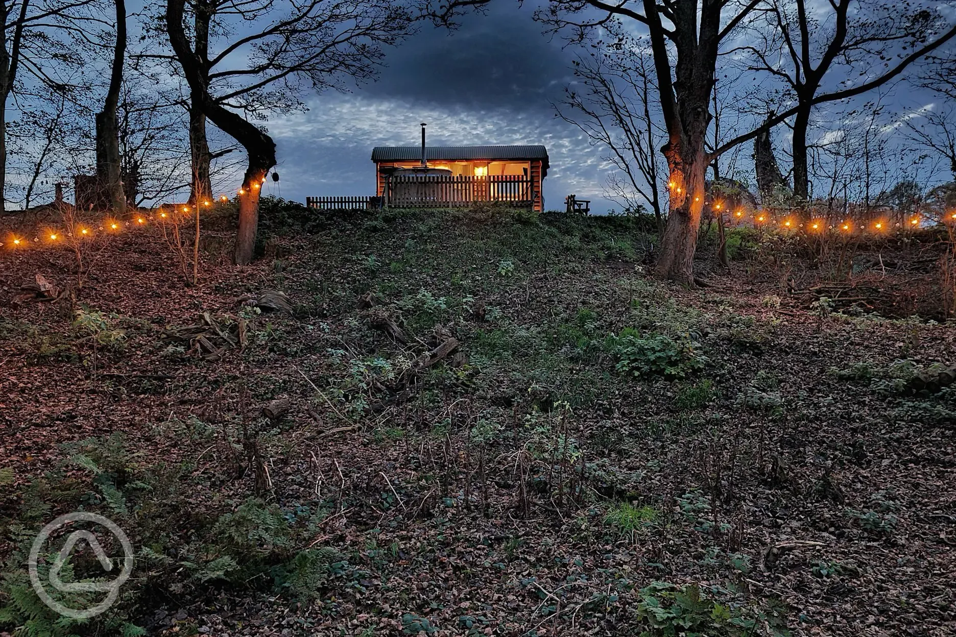 Woodland hut at night