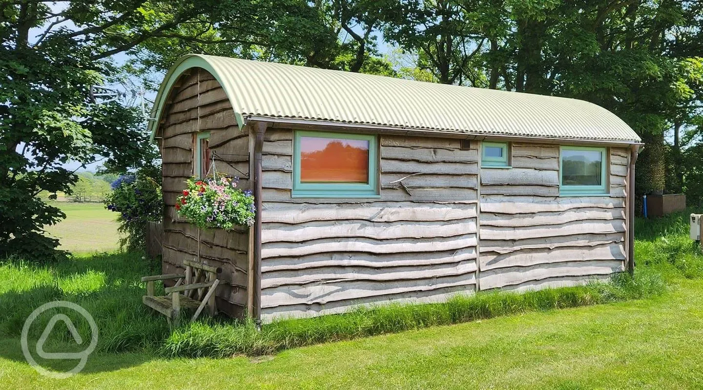 Woodland hut