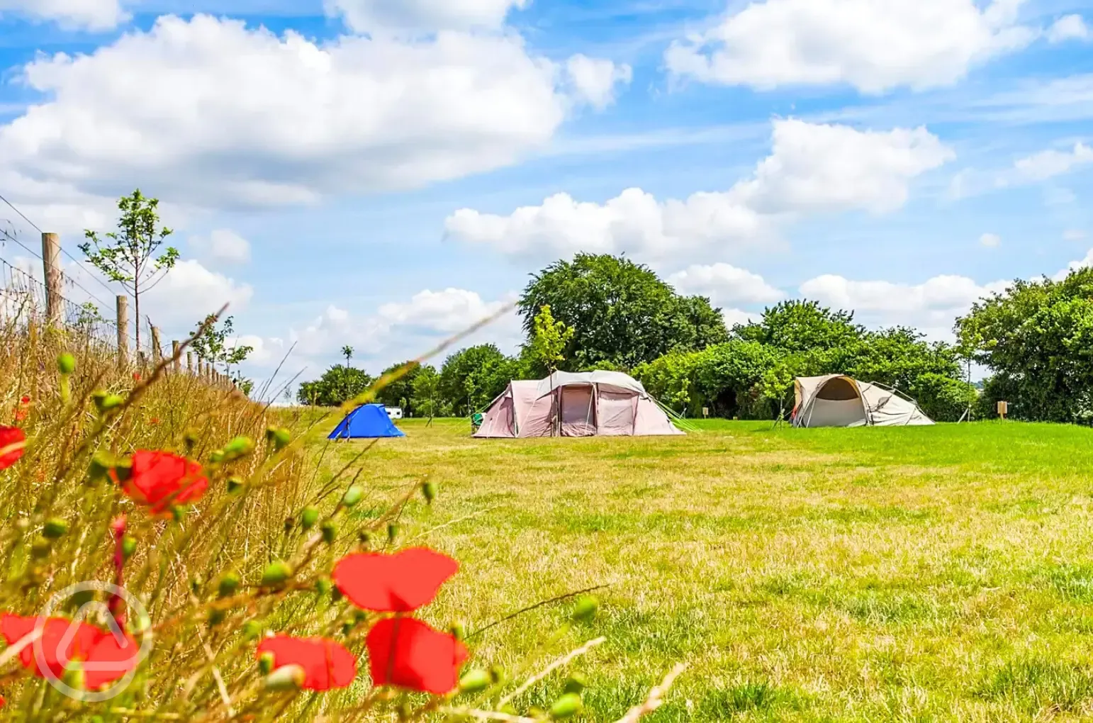 Non electric grass pitches