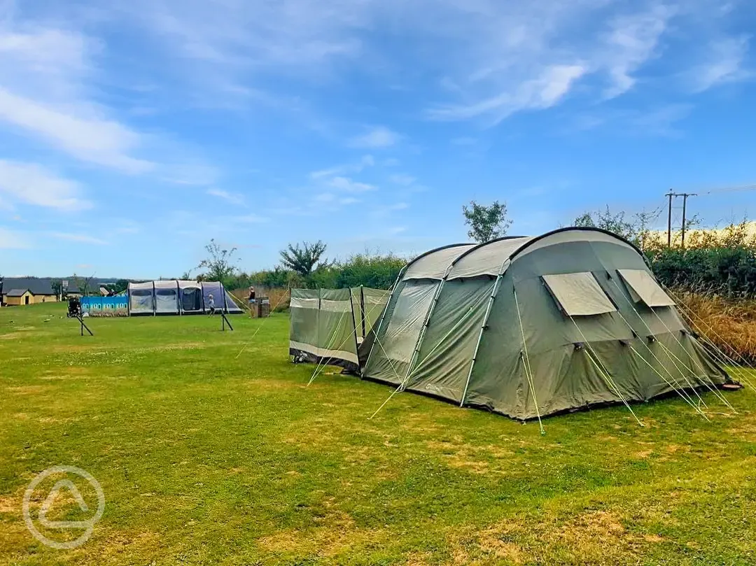 Non electric grass pitches