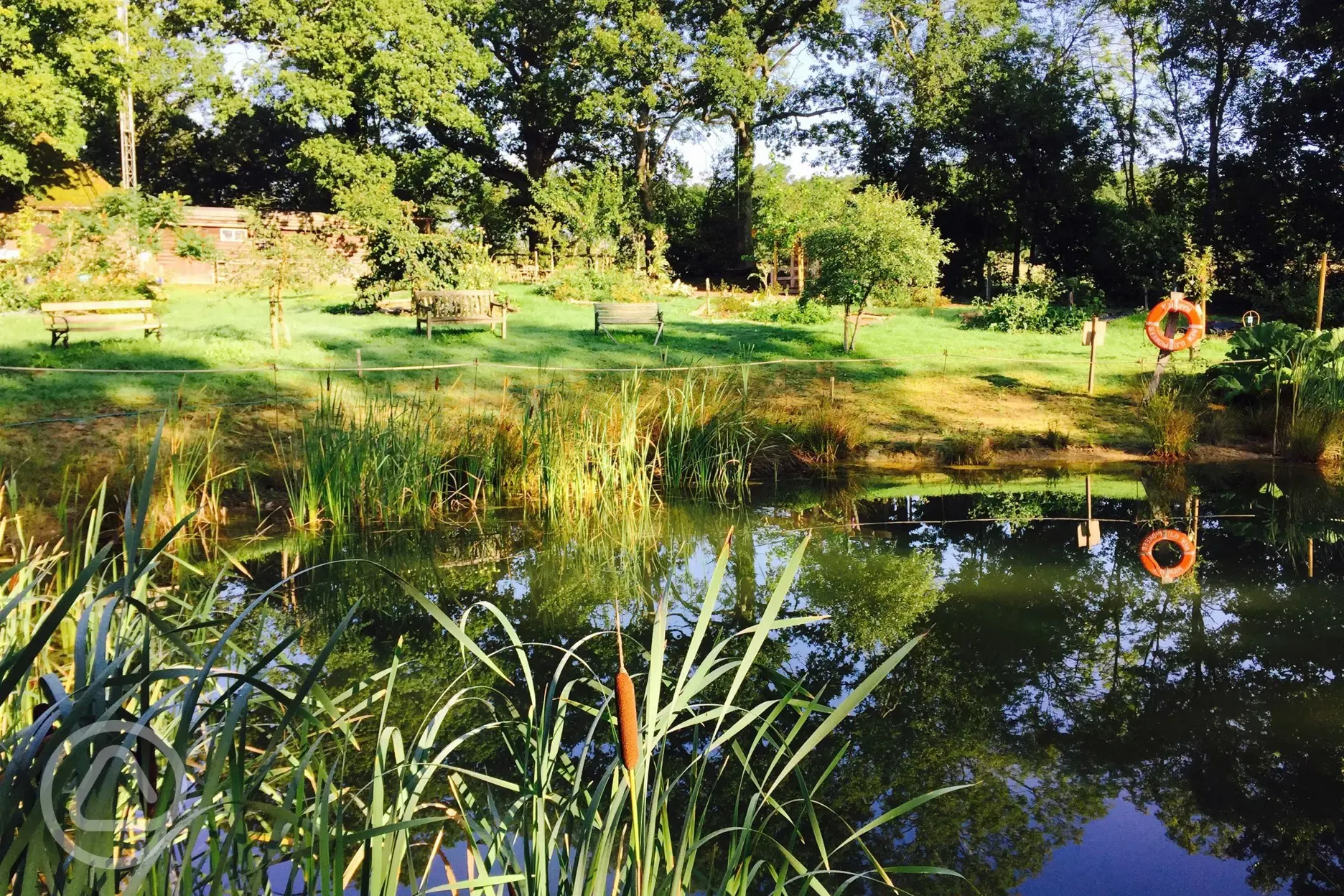 Large pond at Forest Garden Shovelstrode