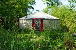 Forest Garden Shovelstrode, Ashurst Wood, East Grinstead, East Sussex Forest Garden Shovelstrode, Ashurst Wood, East Grinstead, East Sussex