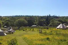 Nature reserve non electric grass pitches