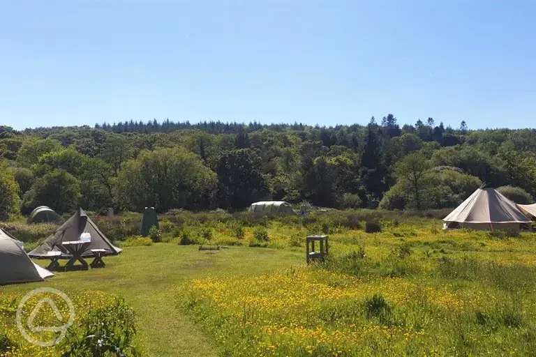 Camping with nature