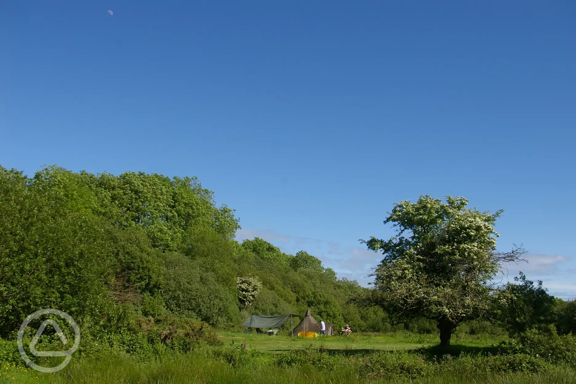 Nature reserve non electric grass pitches