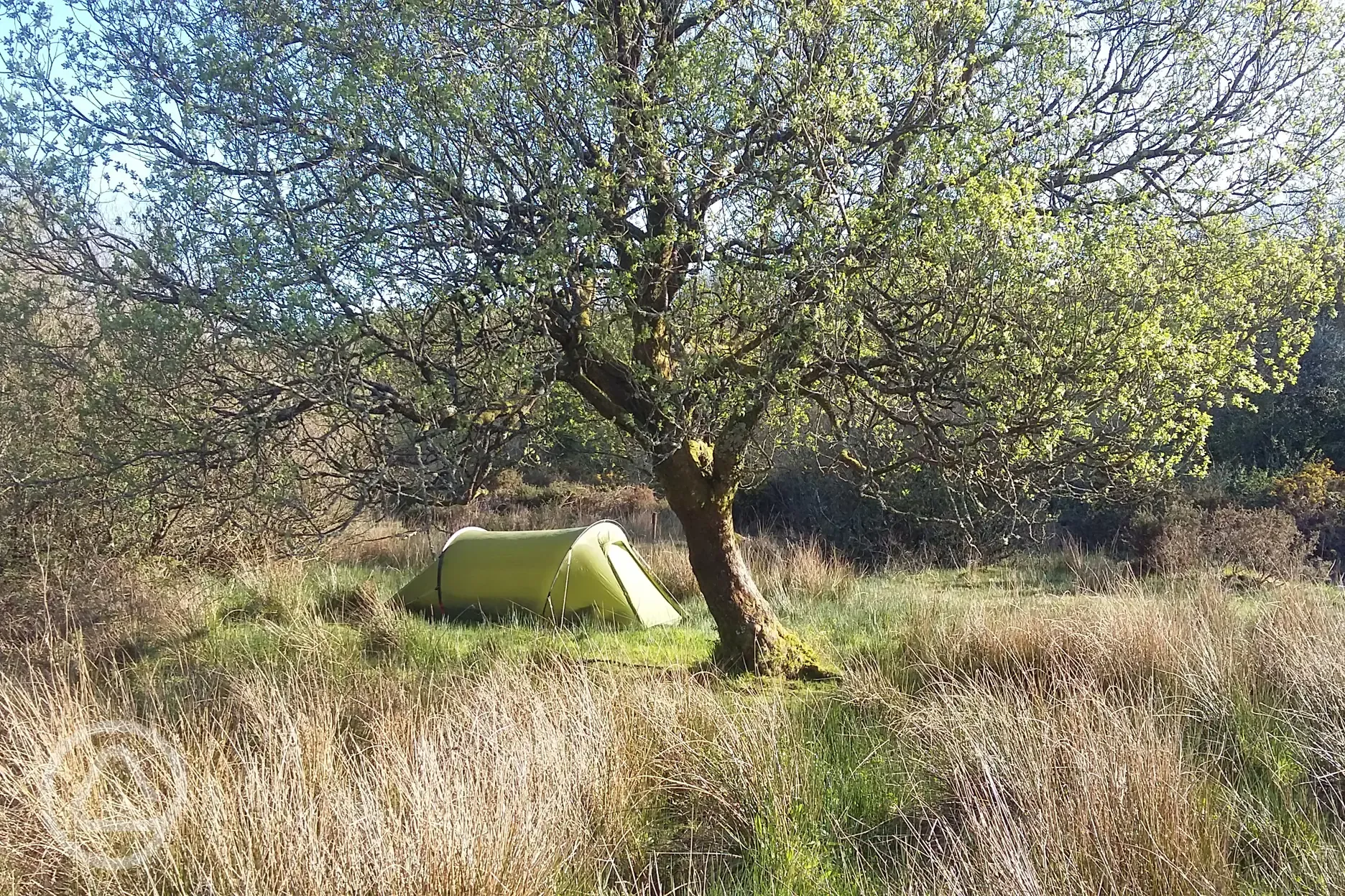 Nature reserve non electric grass pitches