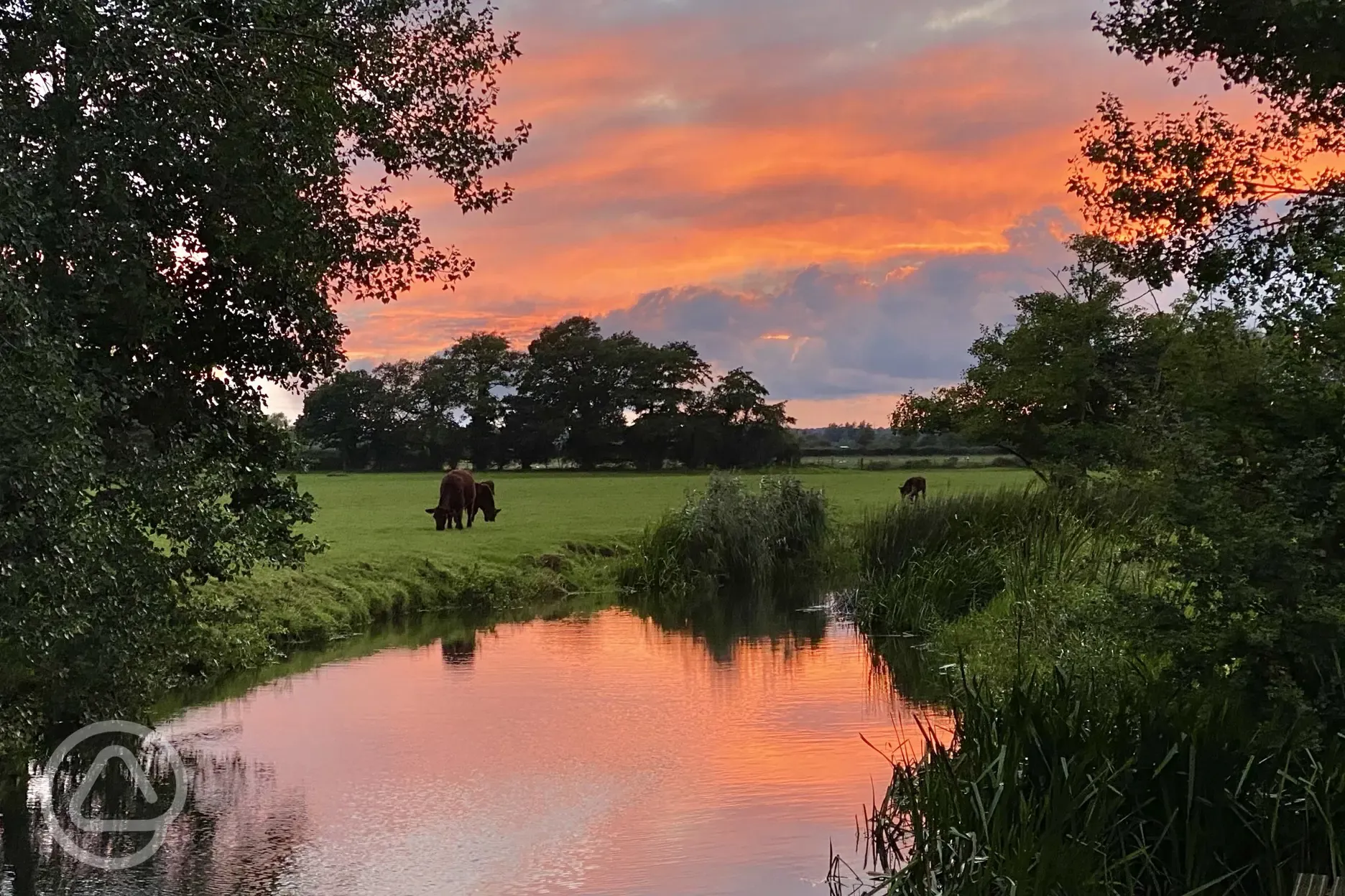 Sunset over the site