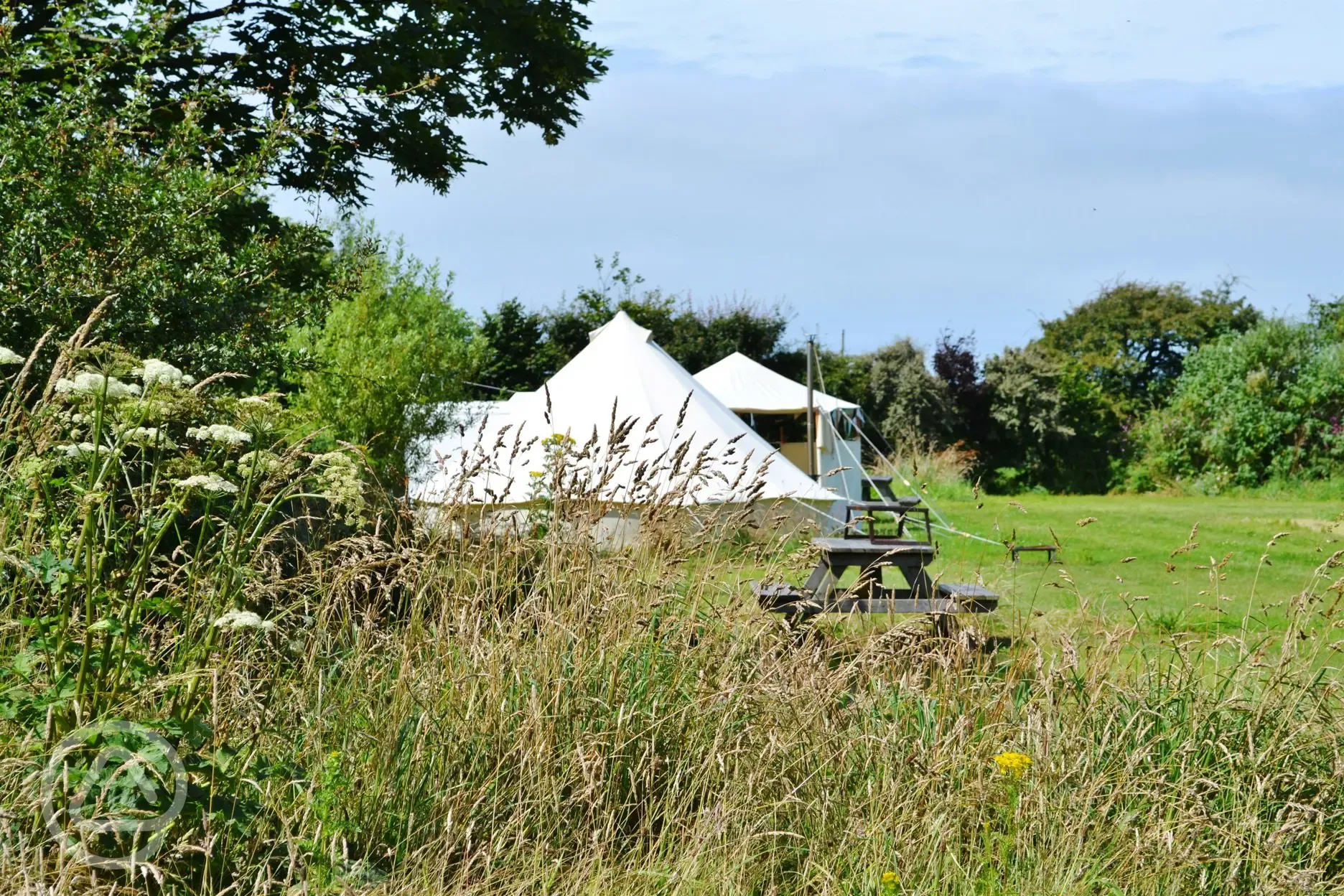 Camping pitch - main field