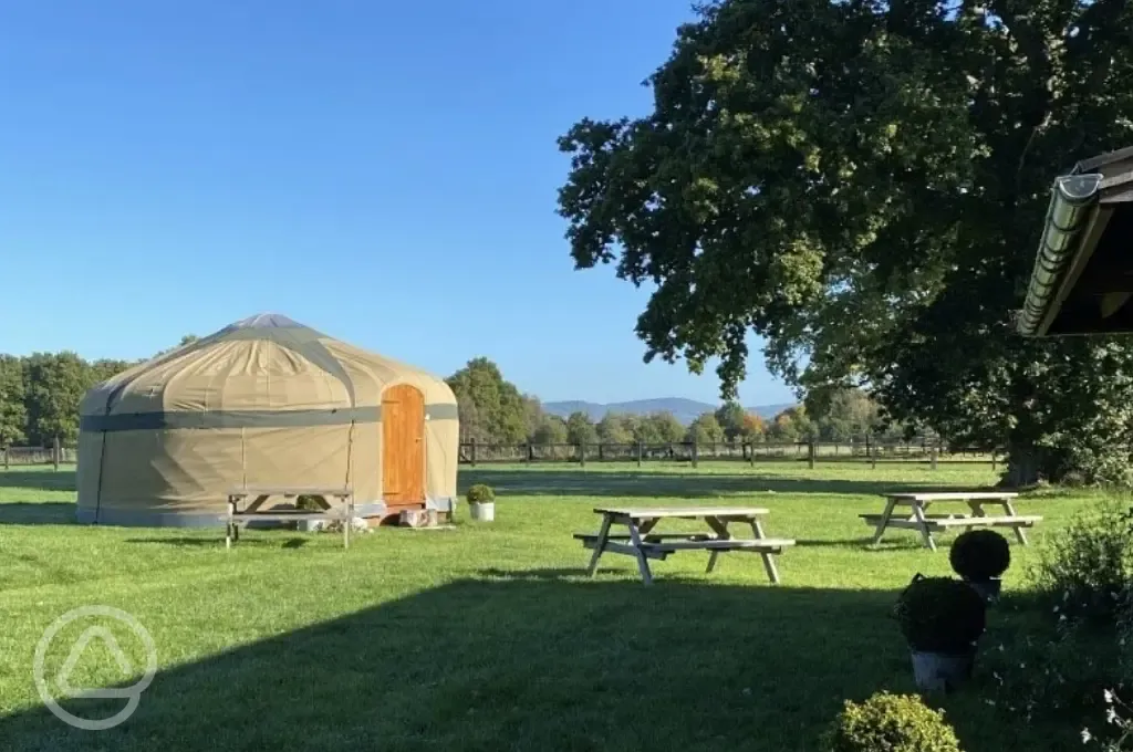 The yurt in situ, you'll have the field to yourselves!