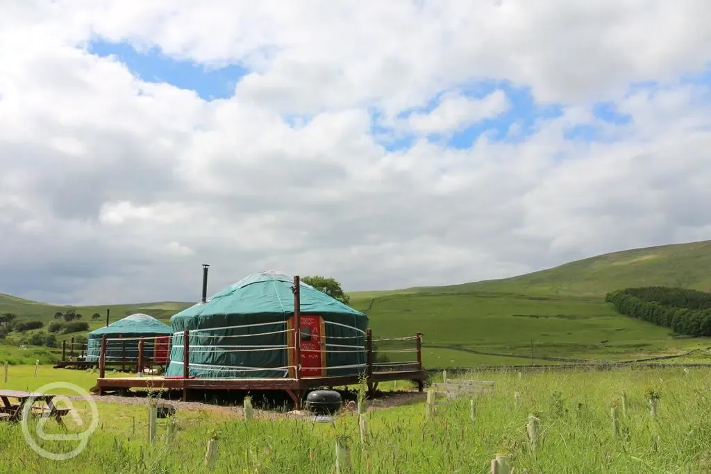 Yurts in the scottish countryside