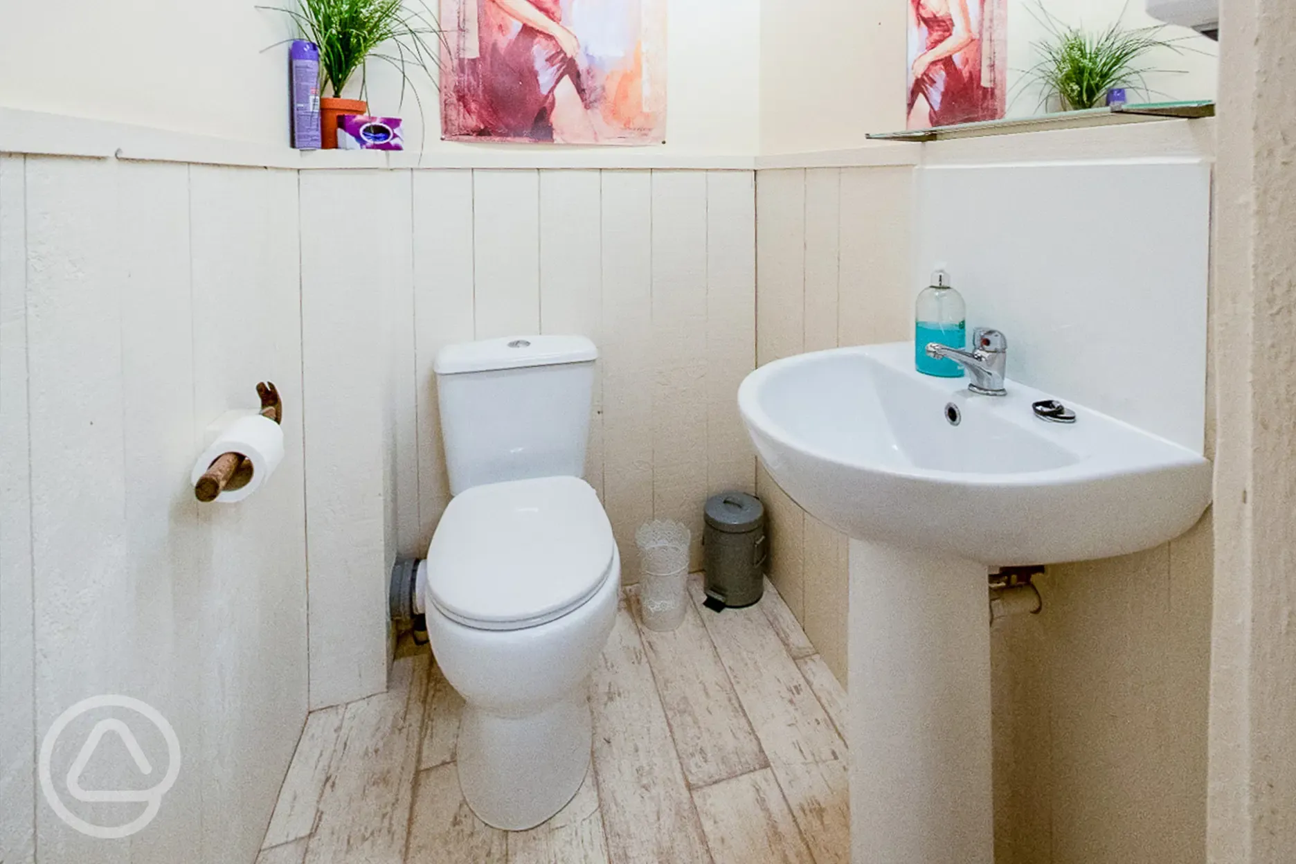 Shared flushing toilets