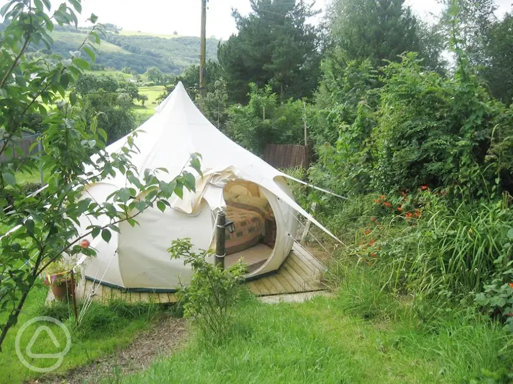 Glamping bell tent at Gwynfryn
