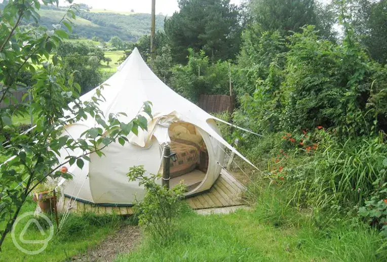 Glamping bell tent at Gwynfryn