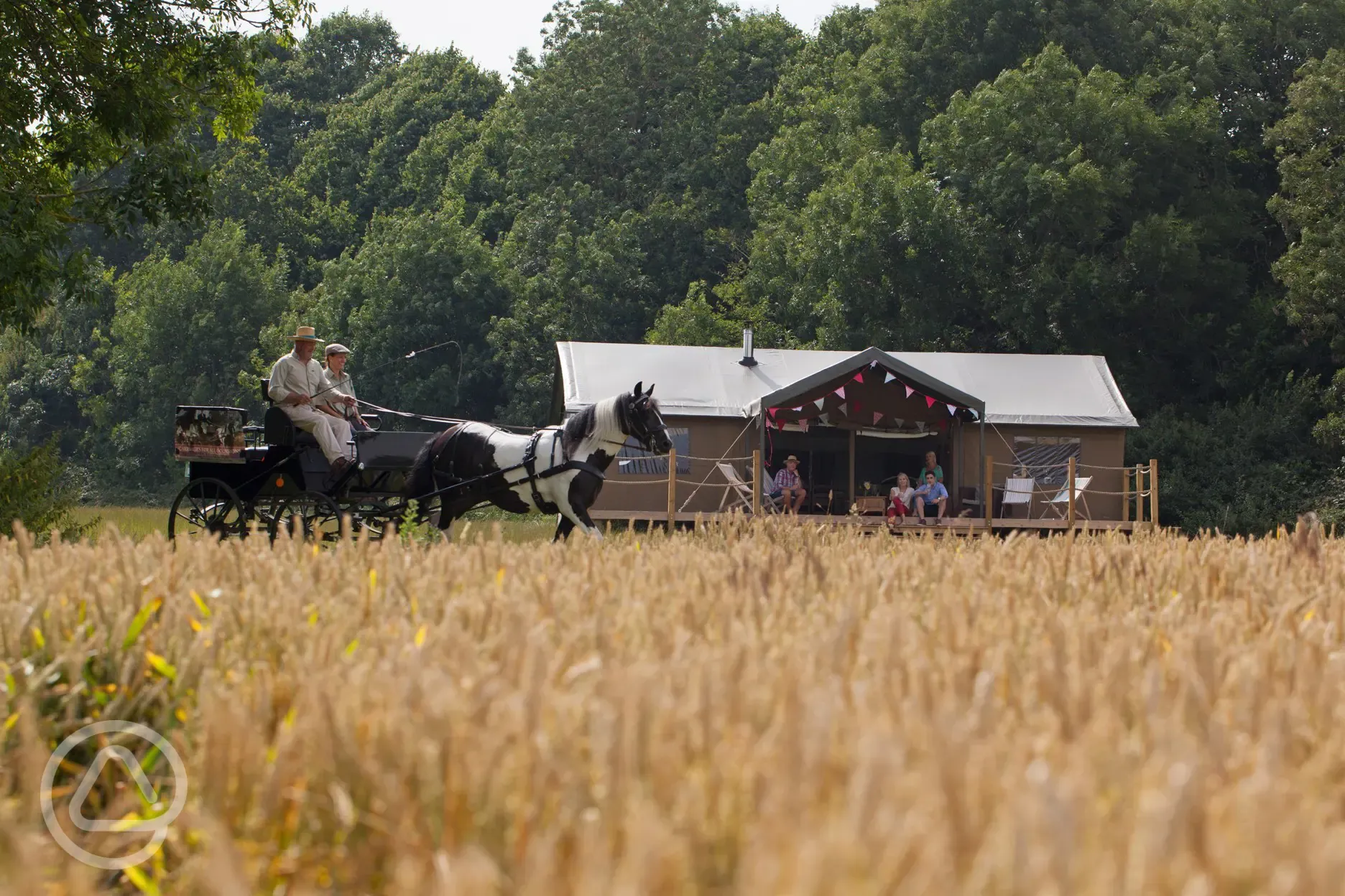 Horse and Cart