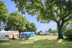 Non electric grass pitches at Lee Valley Campsite Sewardstone