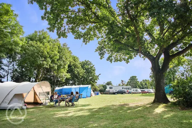 Non electric grass pitches