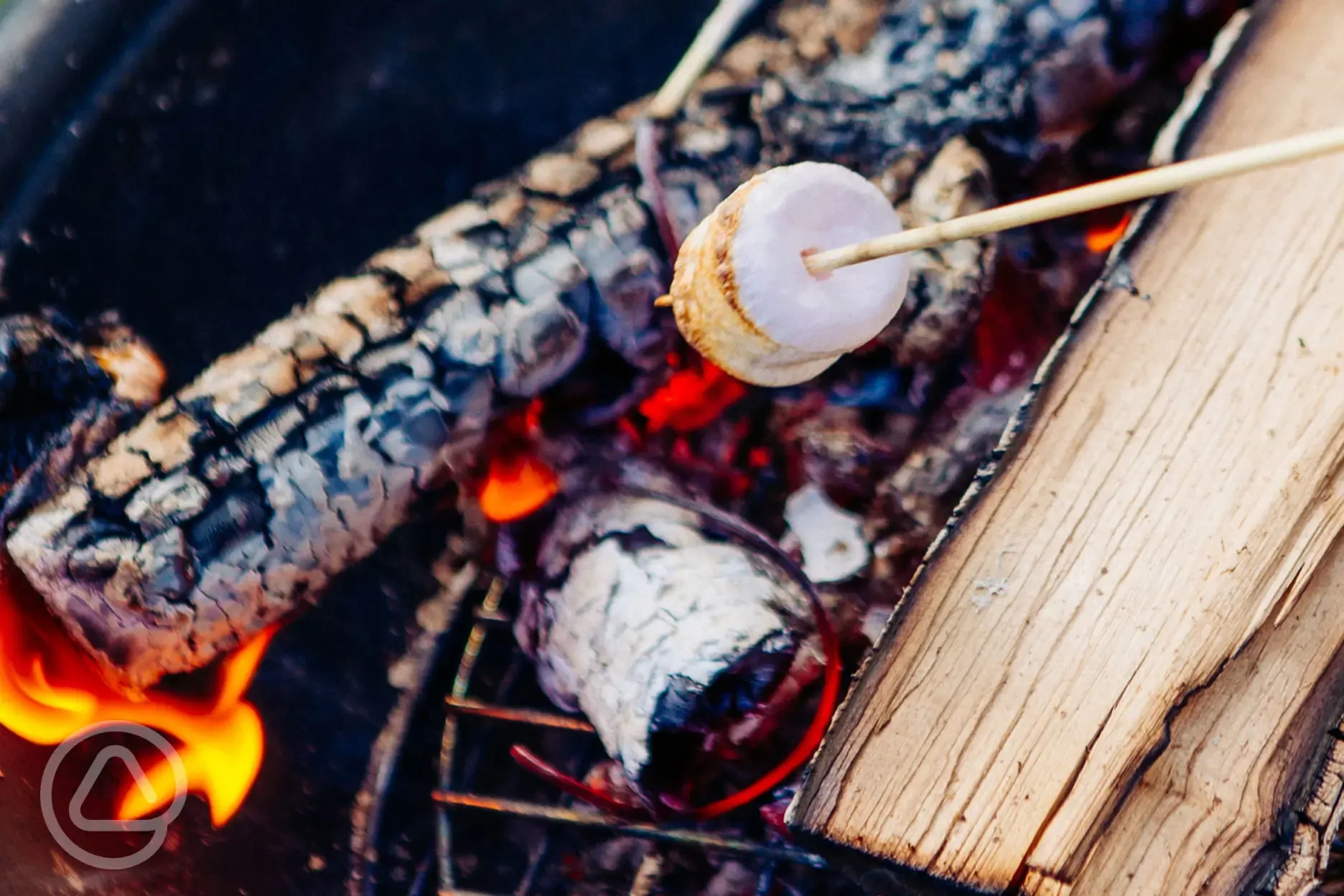 Toasting marshmallows on the fire pit