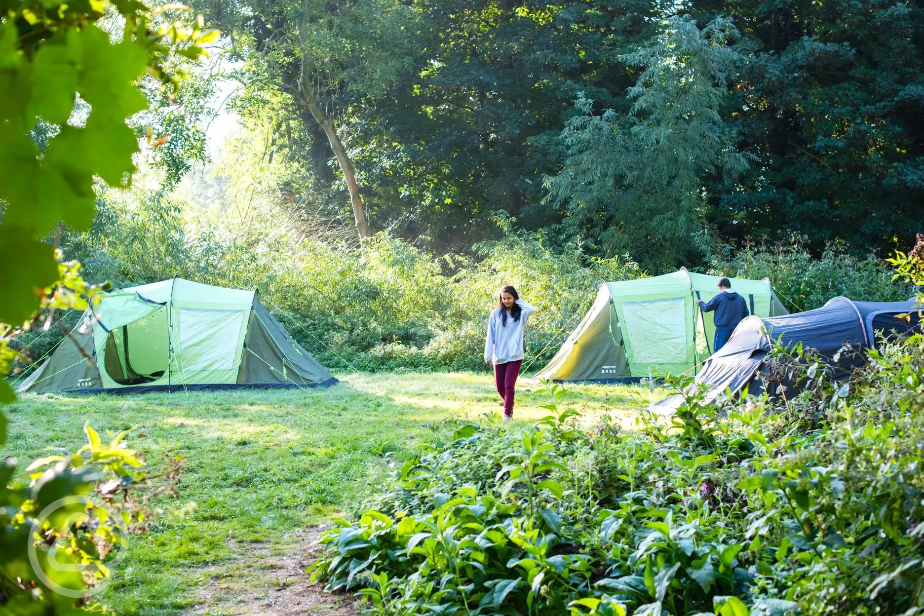 Woodland pitches 