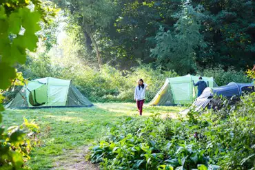 Woodland pitches 