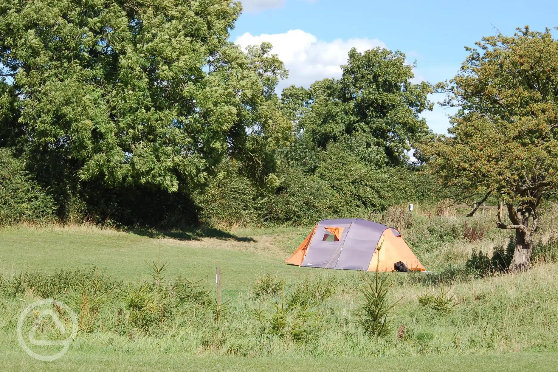 Tent, touring caravan and motorhome pitches