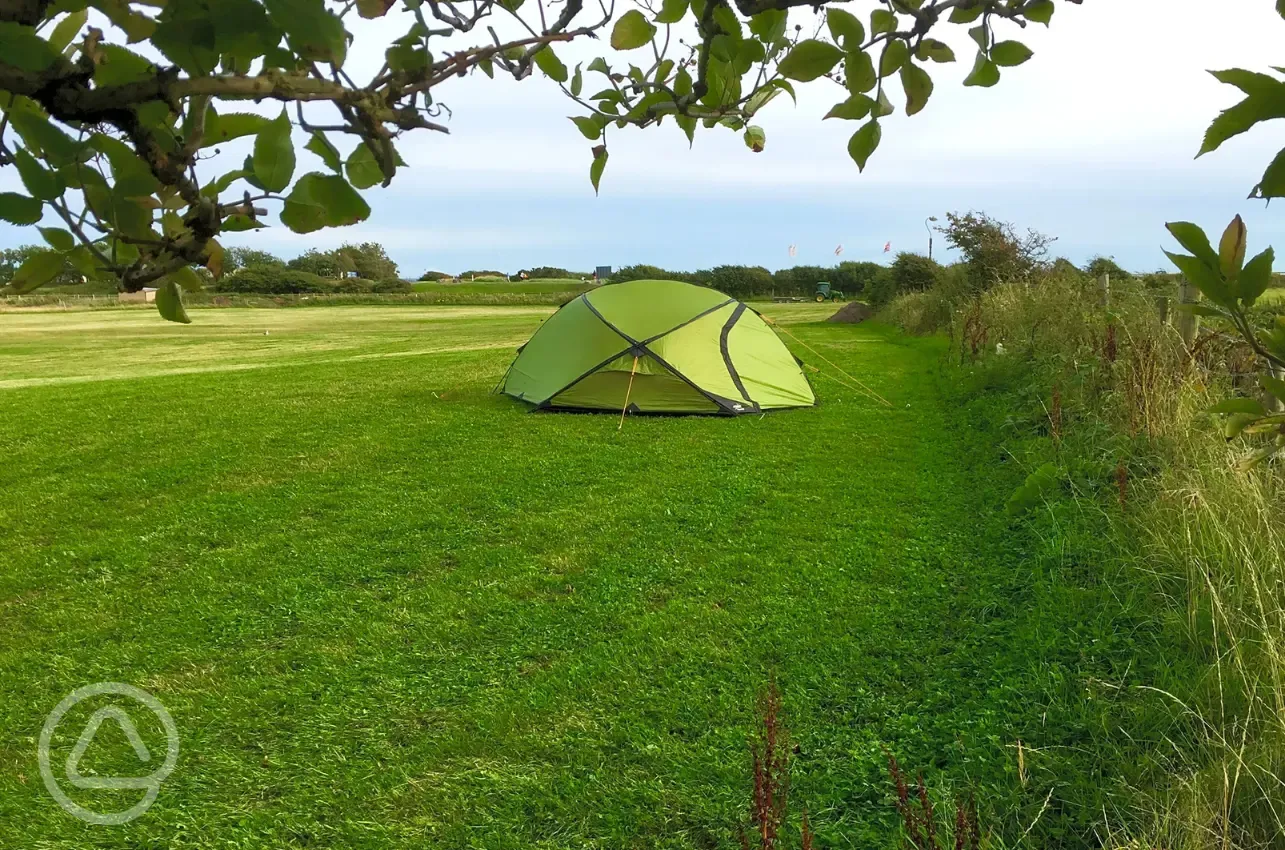 Non electric grass pitches