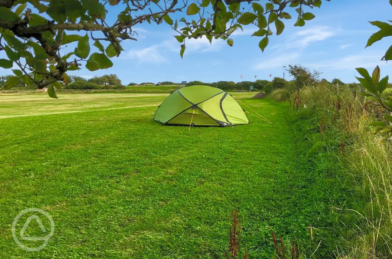 Tent on non electric grass pitches (7m x 3.5m)